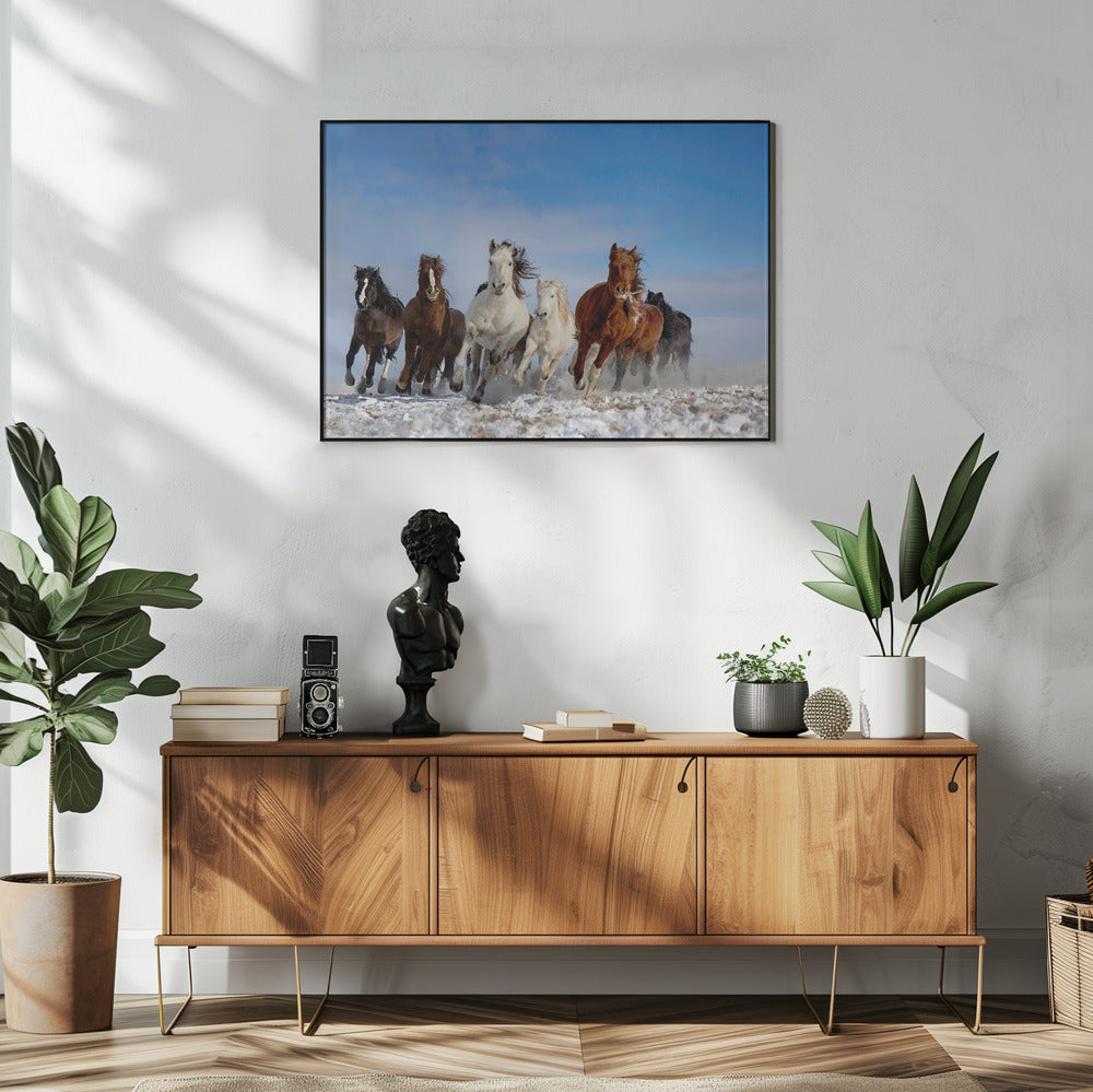Mongolische Pferde | Poster