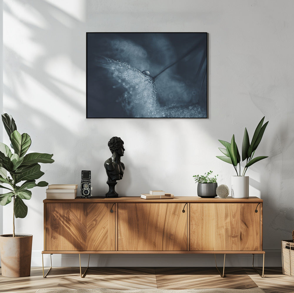 Blaue Pusteblumen | Poster