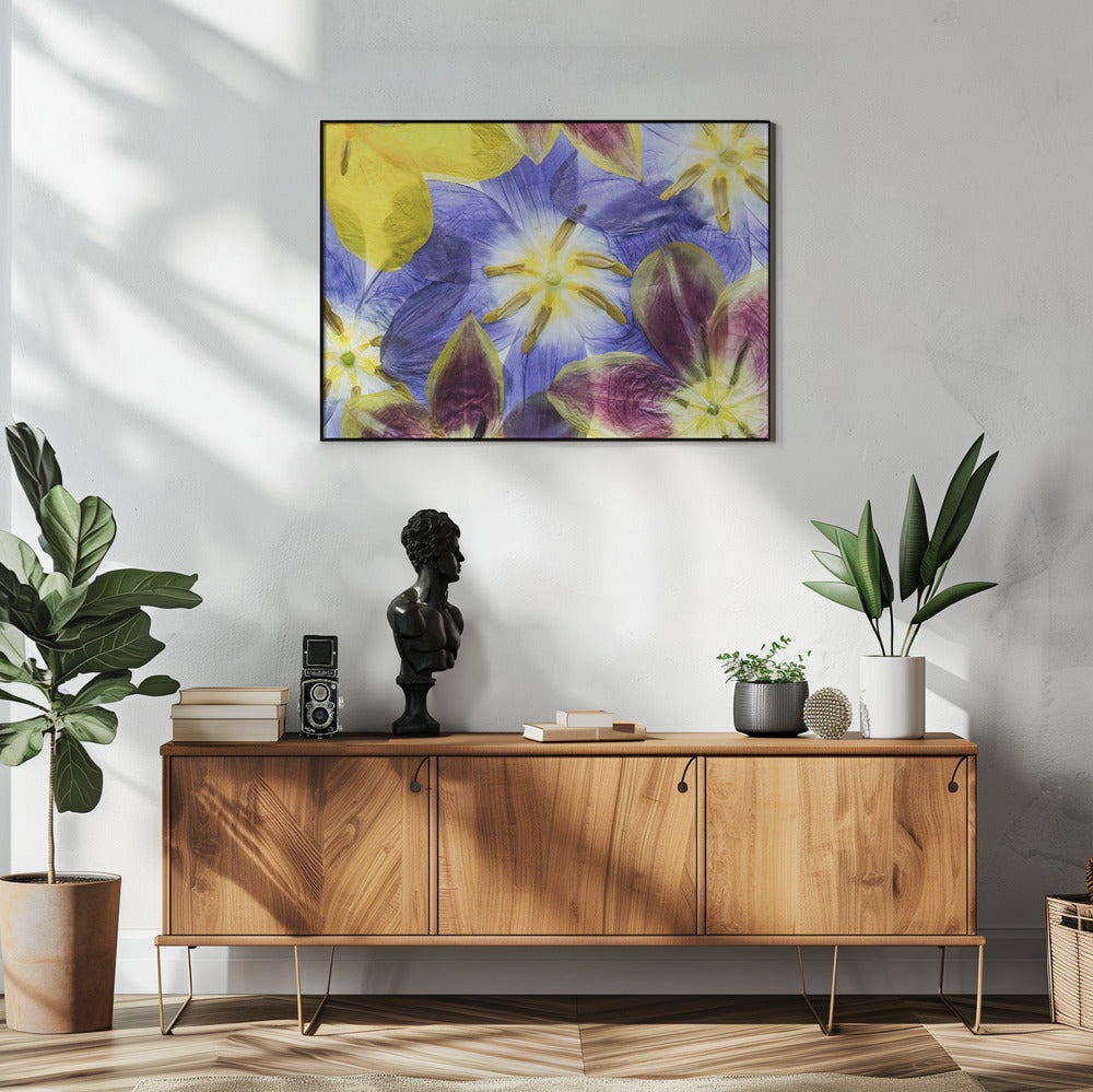 Tulips | Poster