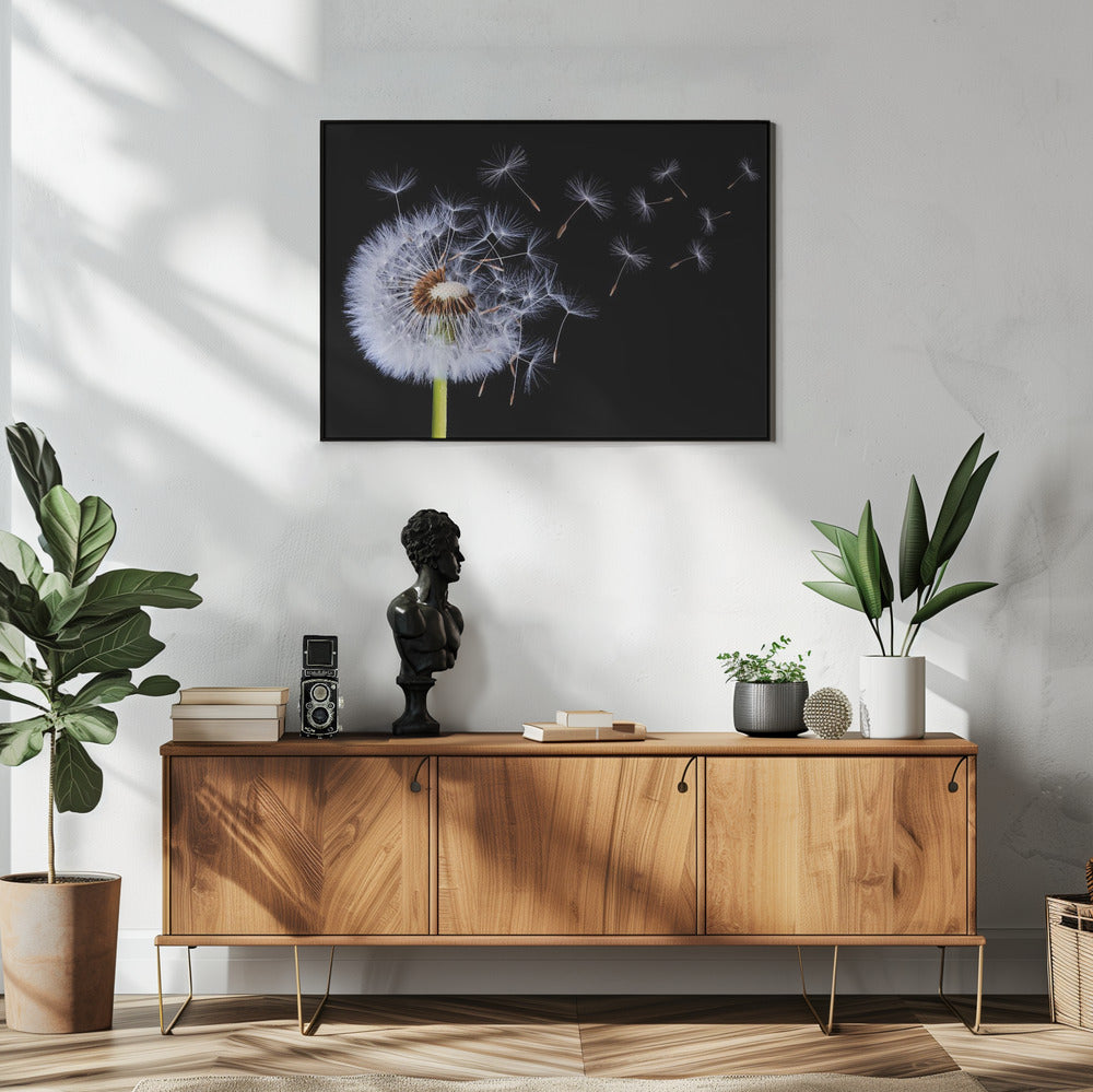 Pusteblume | Poster