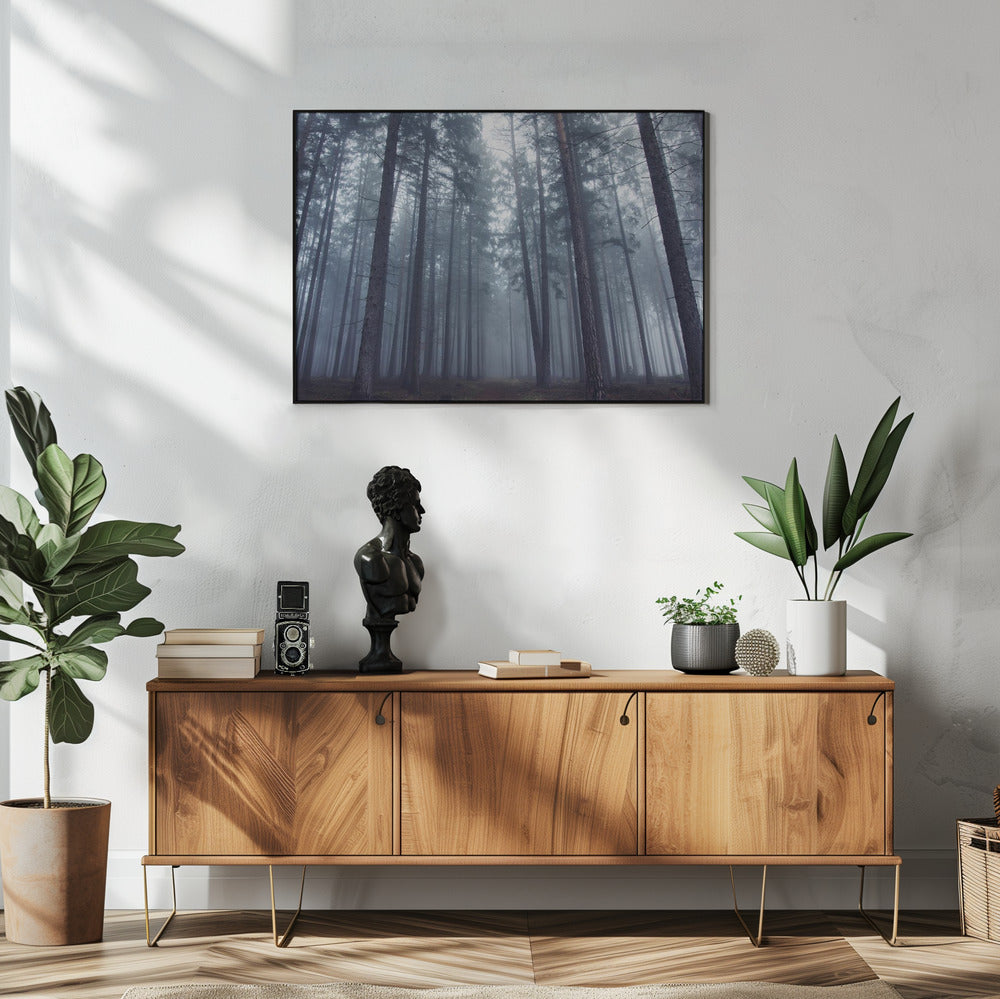 Geheimnisvoller Nebelwald. | Poster