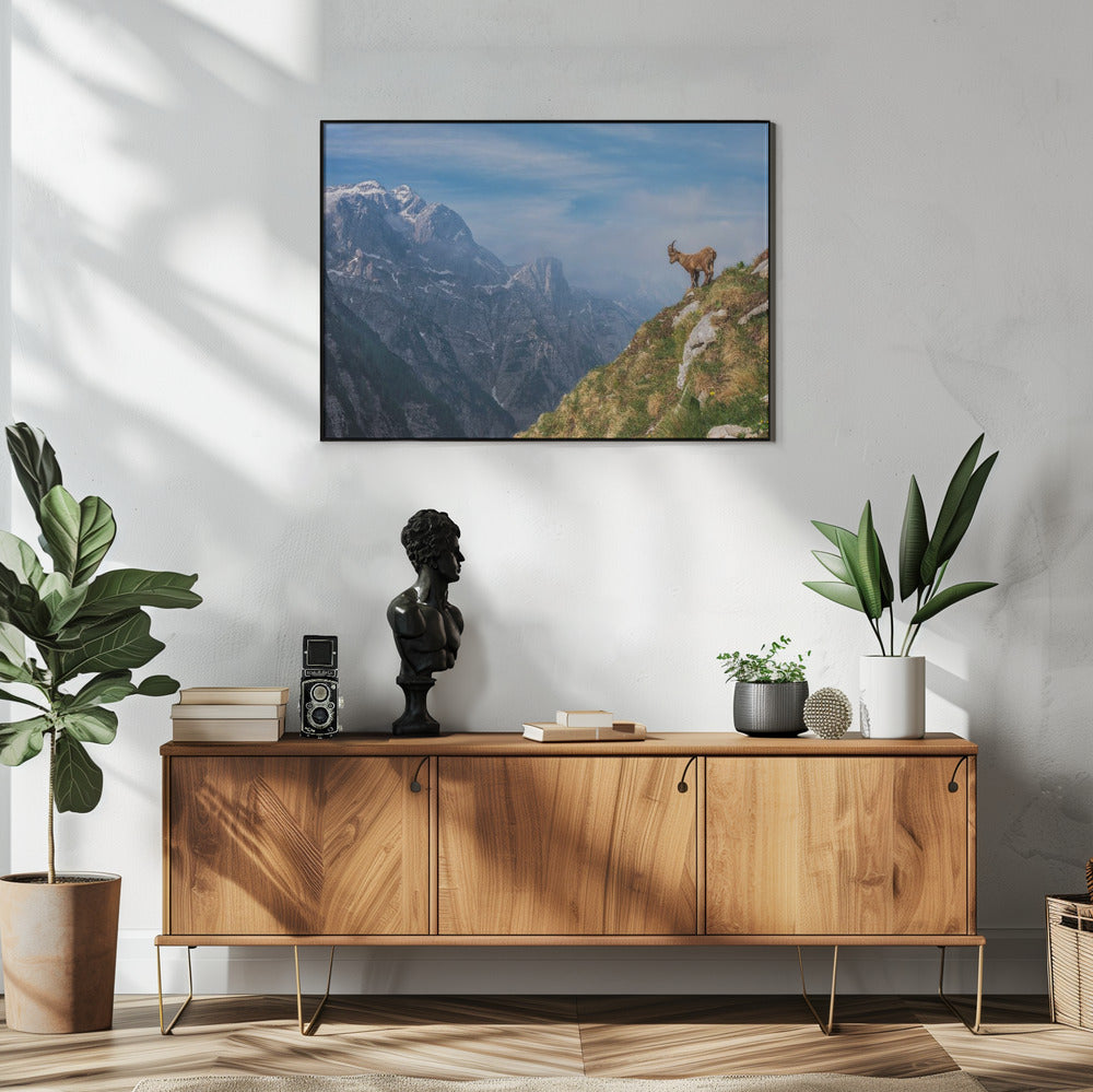 Alpensteinbock im Gebirge | Poster
