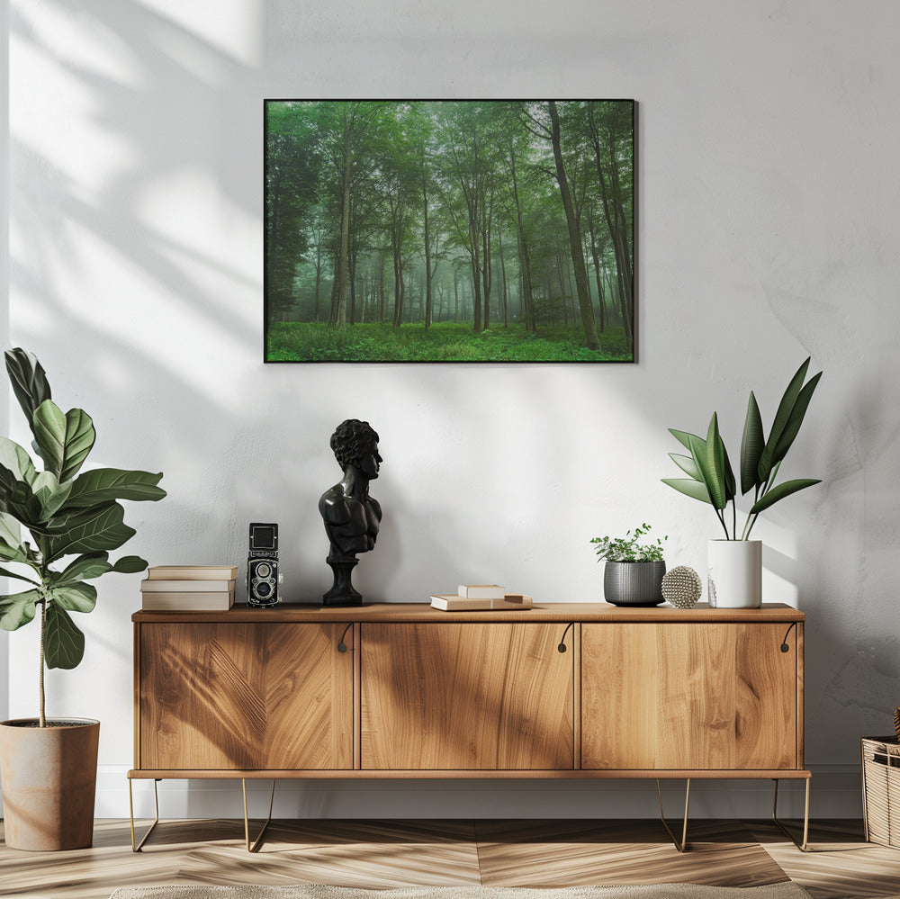 Waldblick | Poster