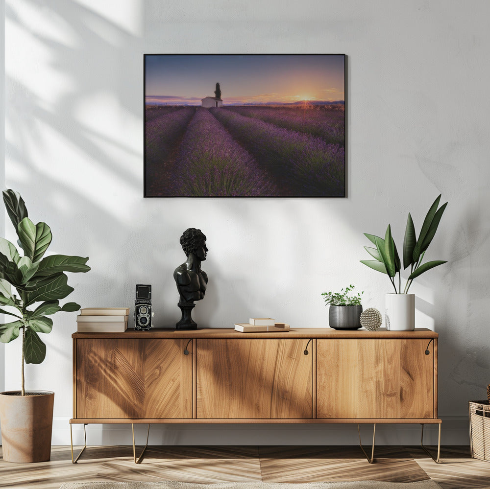 Lavendel aus der Provence | Poster