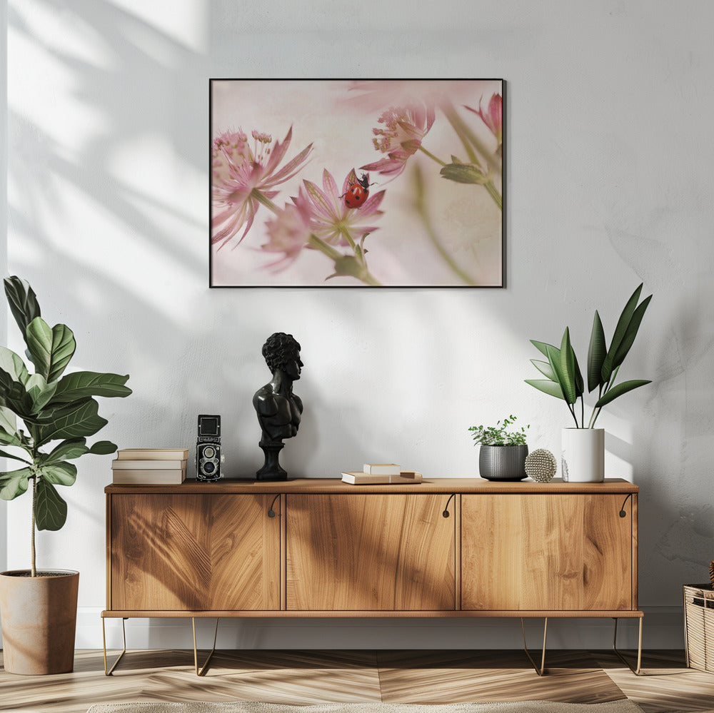 Marienkäfer und rosa Blumen | Poster