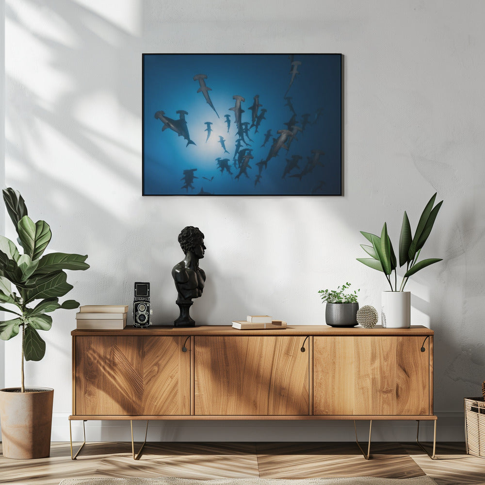 Hammerhai – Unterwasserfotografie | Poster