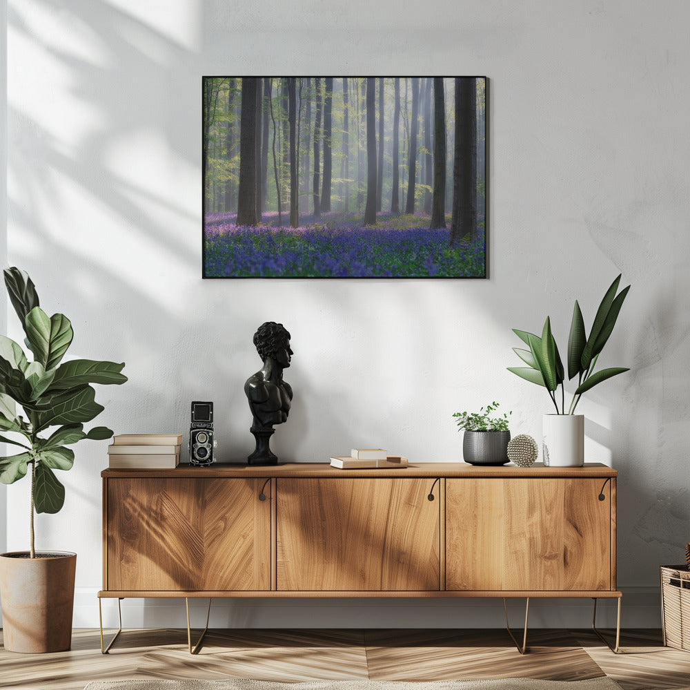 Bluebells | Poster