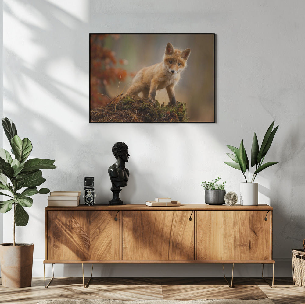 Fuchs | Poster