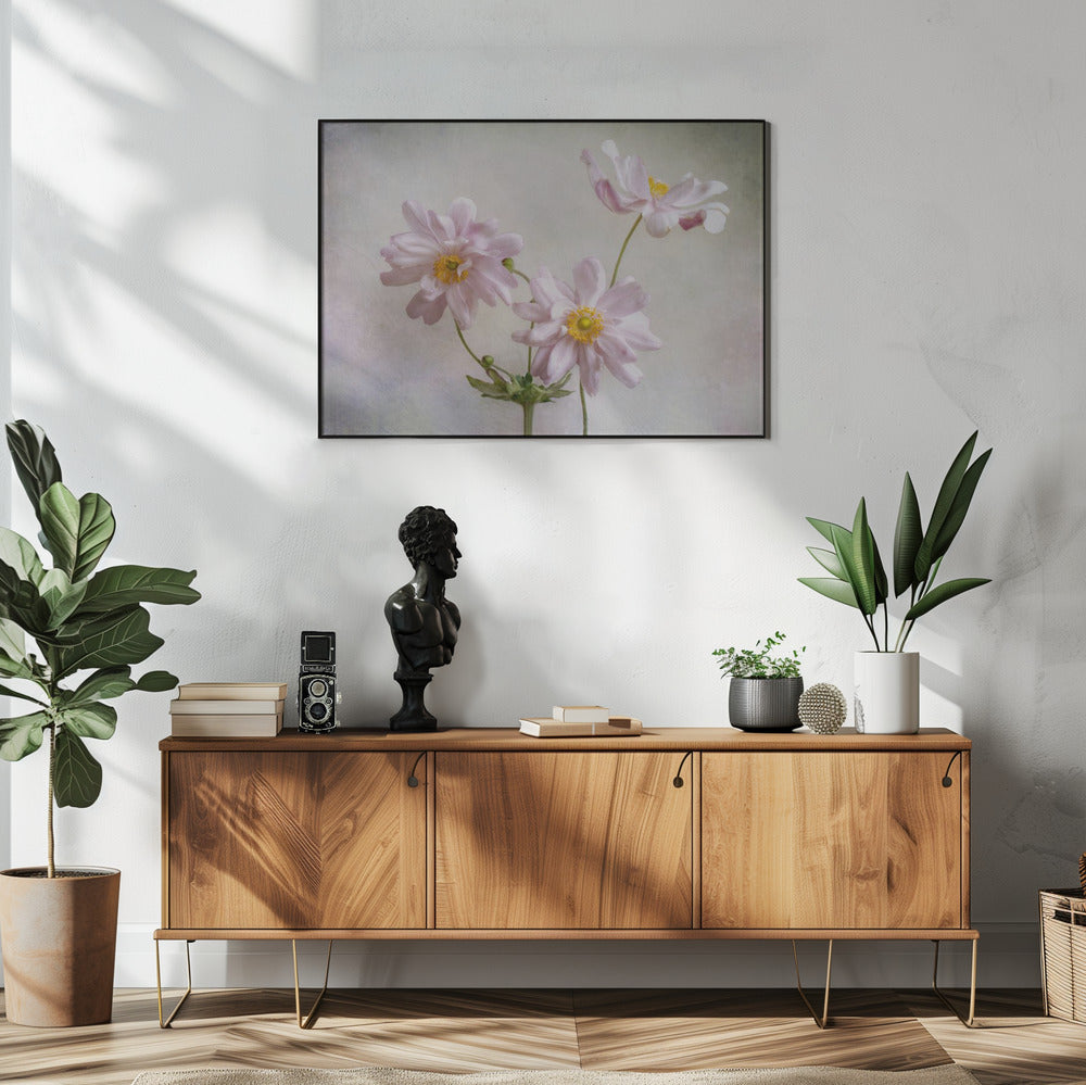 Anemonen | Poster