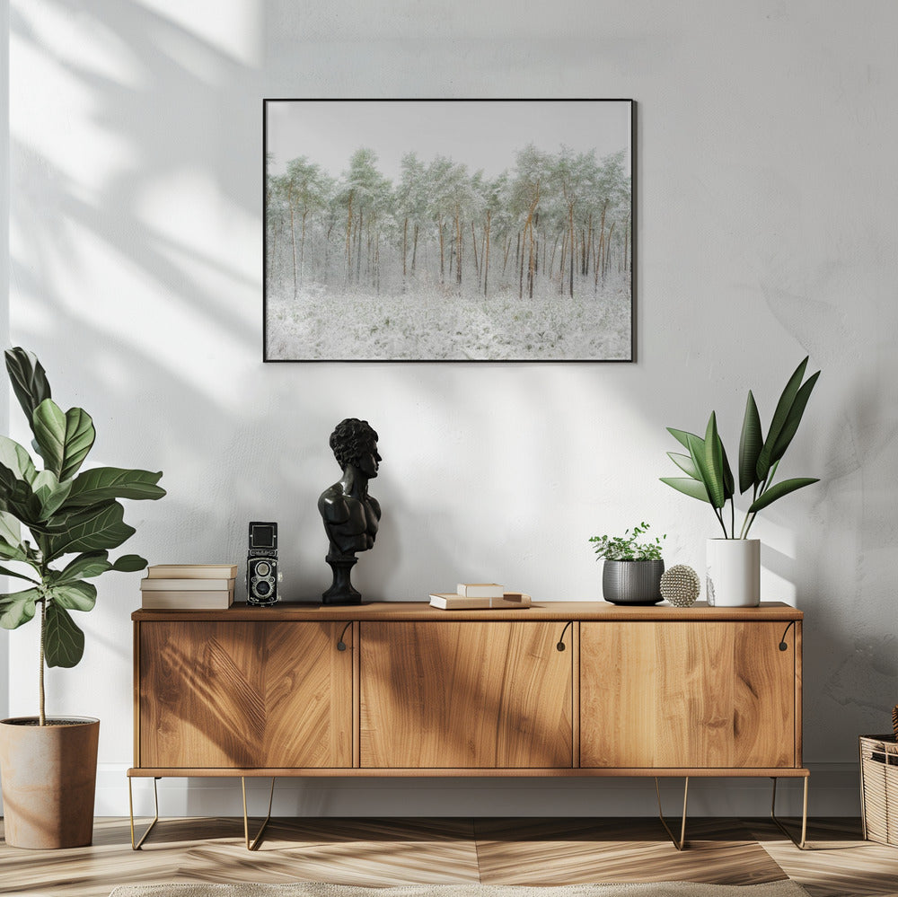 Schneewelt | Poster