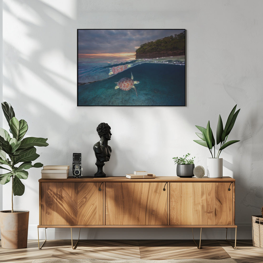 Grüne Schildkröte mit Sonnenuntergang | Poster