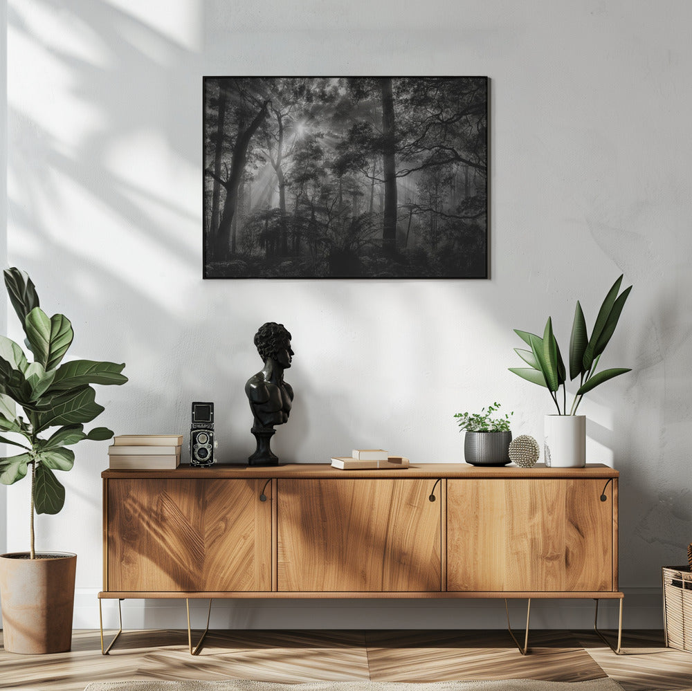 Primärwald | Poster