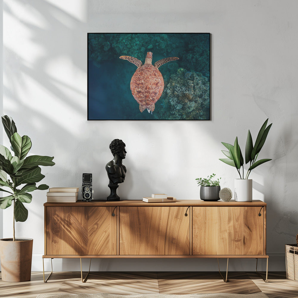 Über das Riff fliegen | Poster