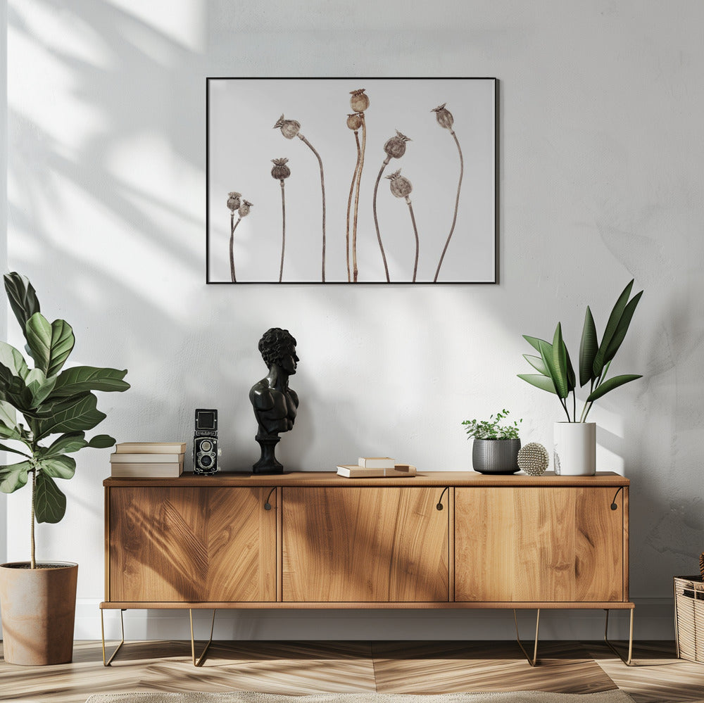 Mohnblumen | Poster