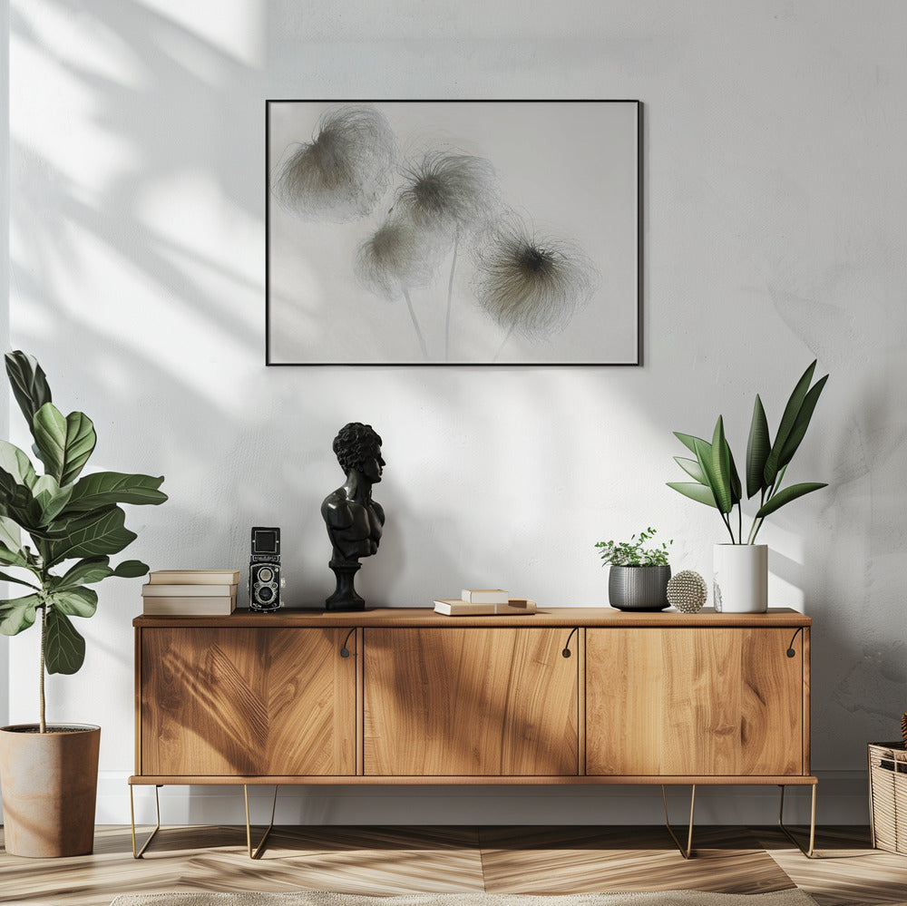 Clematis | Poster
