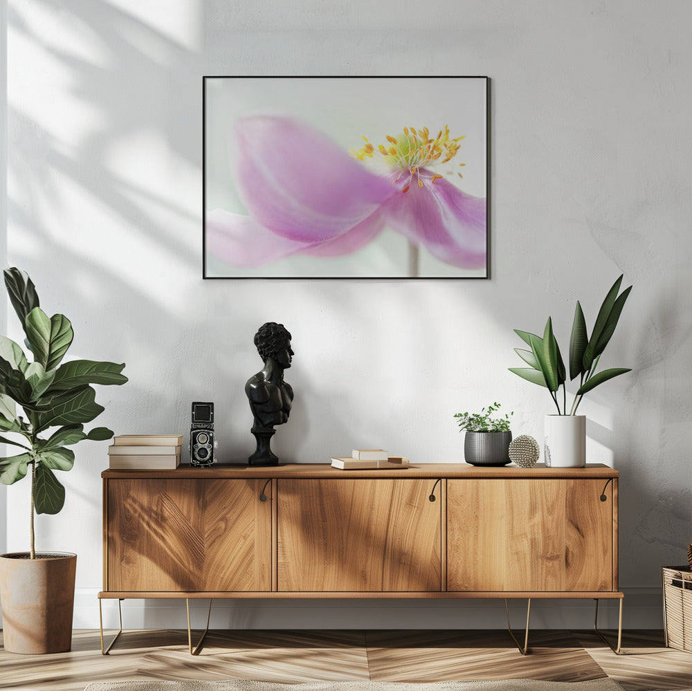 Anemone | Poster