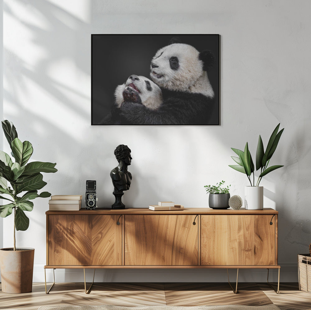 Pandas | Poster