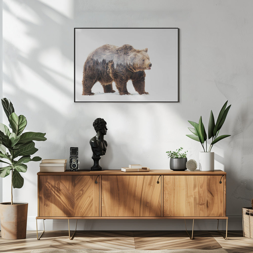 Bär | Poster