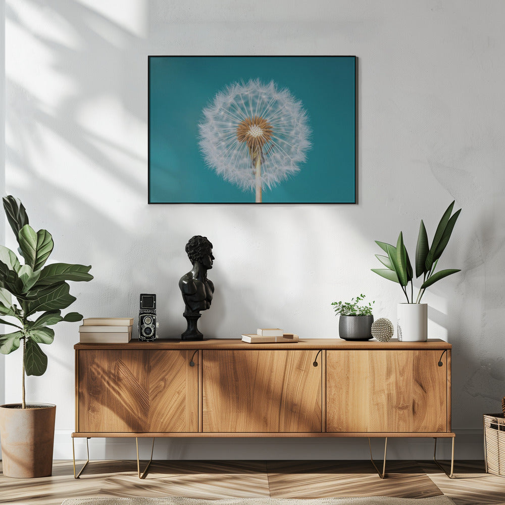 Dandelion | Poster