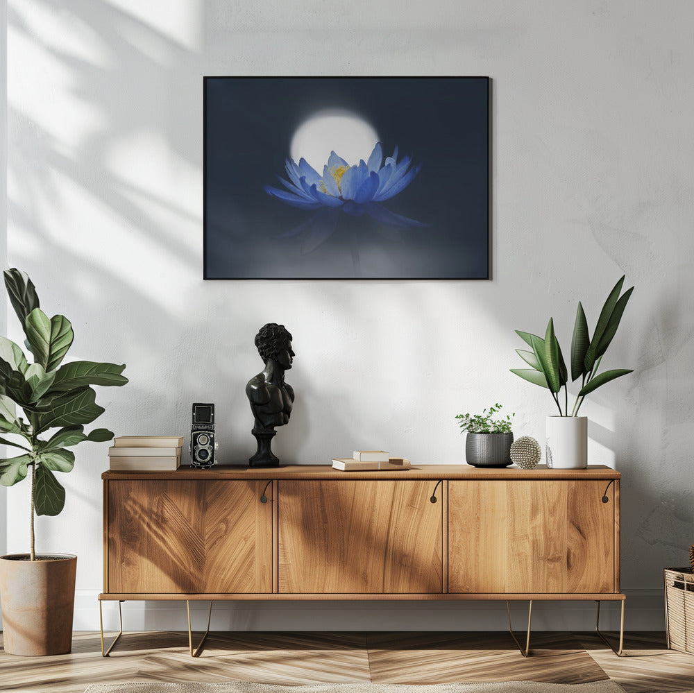 Fleeting dream | Poster