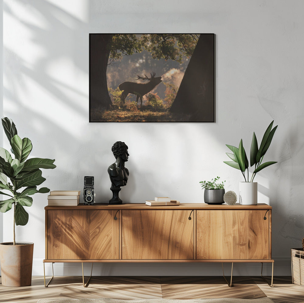 Er wartet im Schatten | Poster