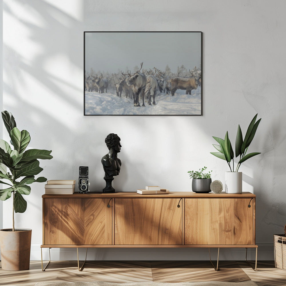 Rentiere | Poster