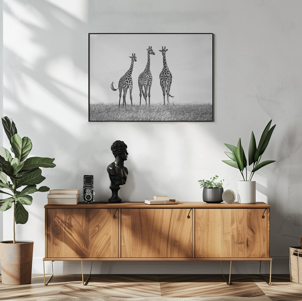 Giraffen in der Mara-Ebene | Poster
