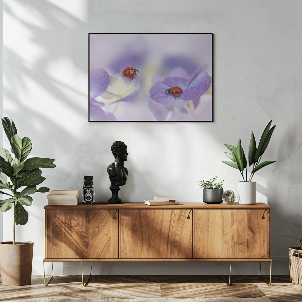 Rot und Lila | Poster