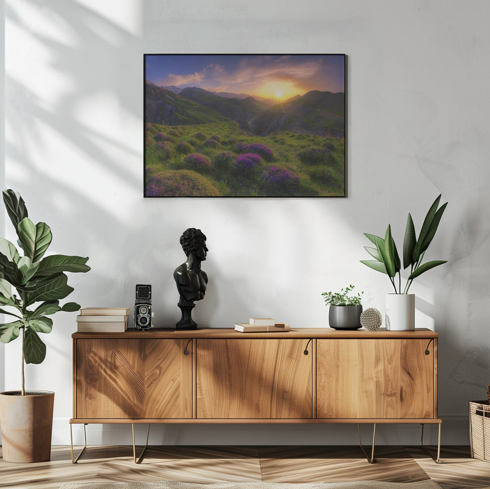 Frühling in der Show | Poster