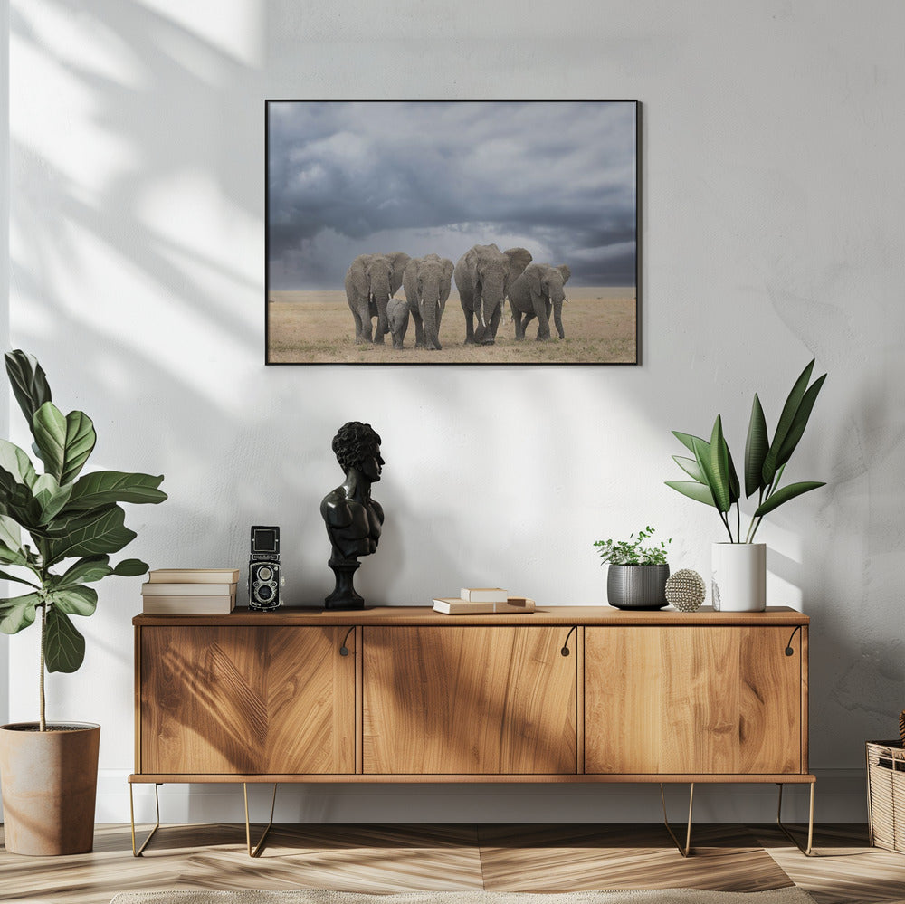 Elefantenspaziergang | Poster