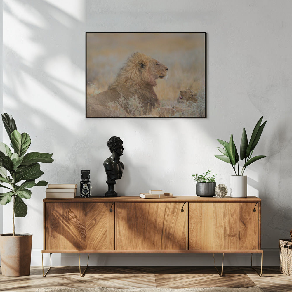 Male lion with cub | Poster