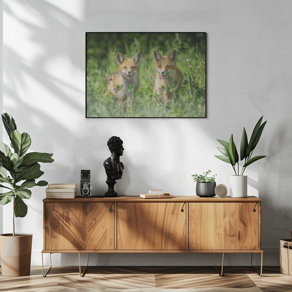 Brüder | Poster