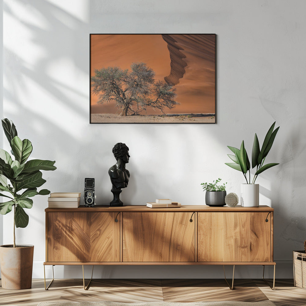 Akazie in der Wüste | Poster