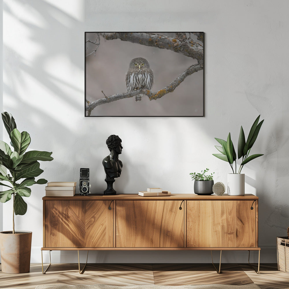 Kleiner Kerl im Schnee | Poster