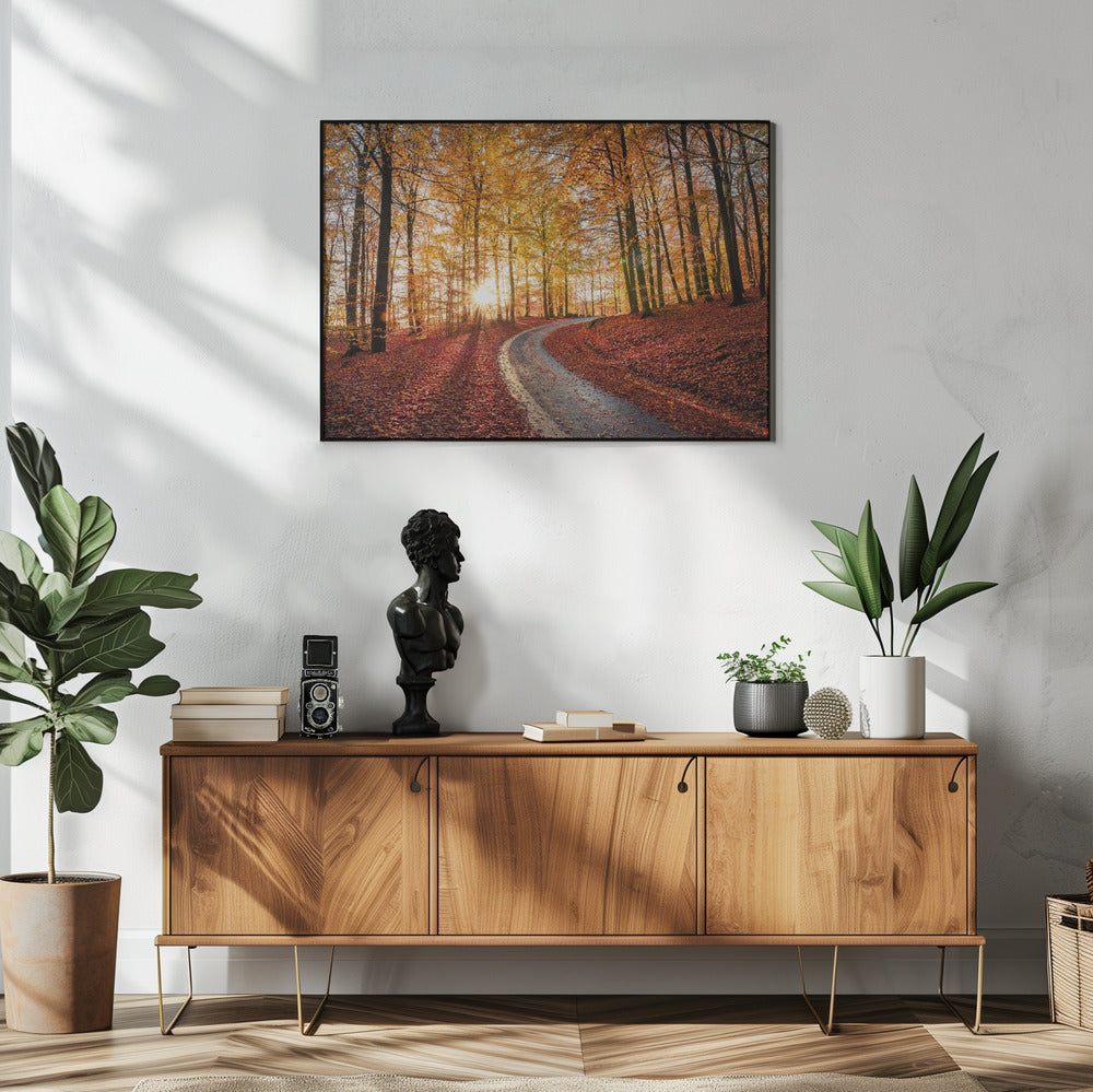 Straße im Nationalpark Söderåsen, Schweden | Poster