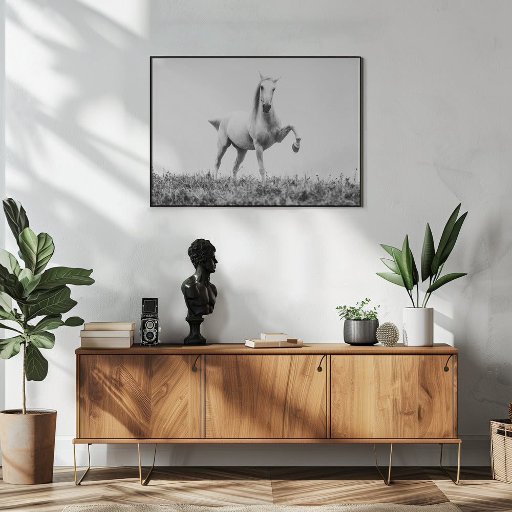 eine Kurzgeschichte über weiße Schönheit | Poster