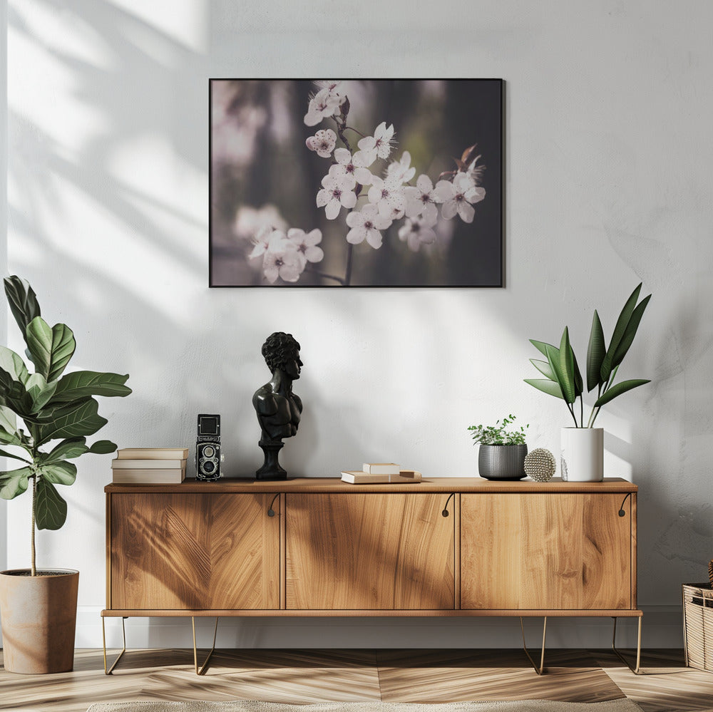Blüten | Poster