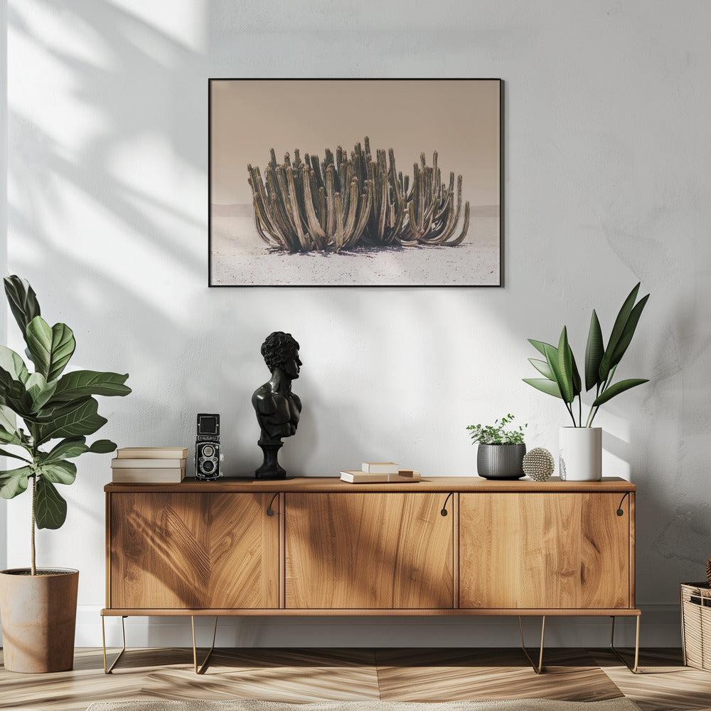 Peach Sky Cactus | Poster