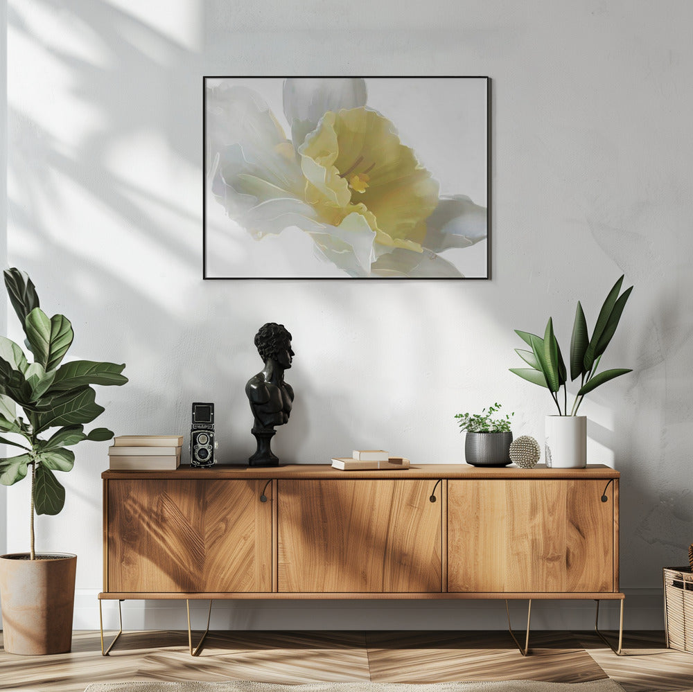 Daffodil | Poster