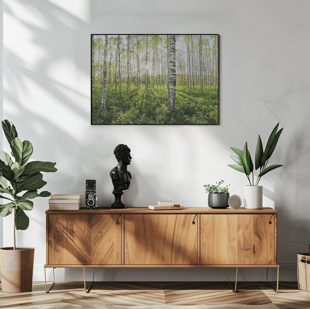 Frühling im Birkenwald | Poster