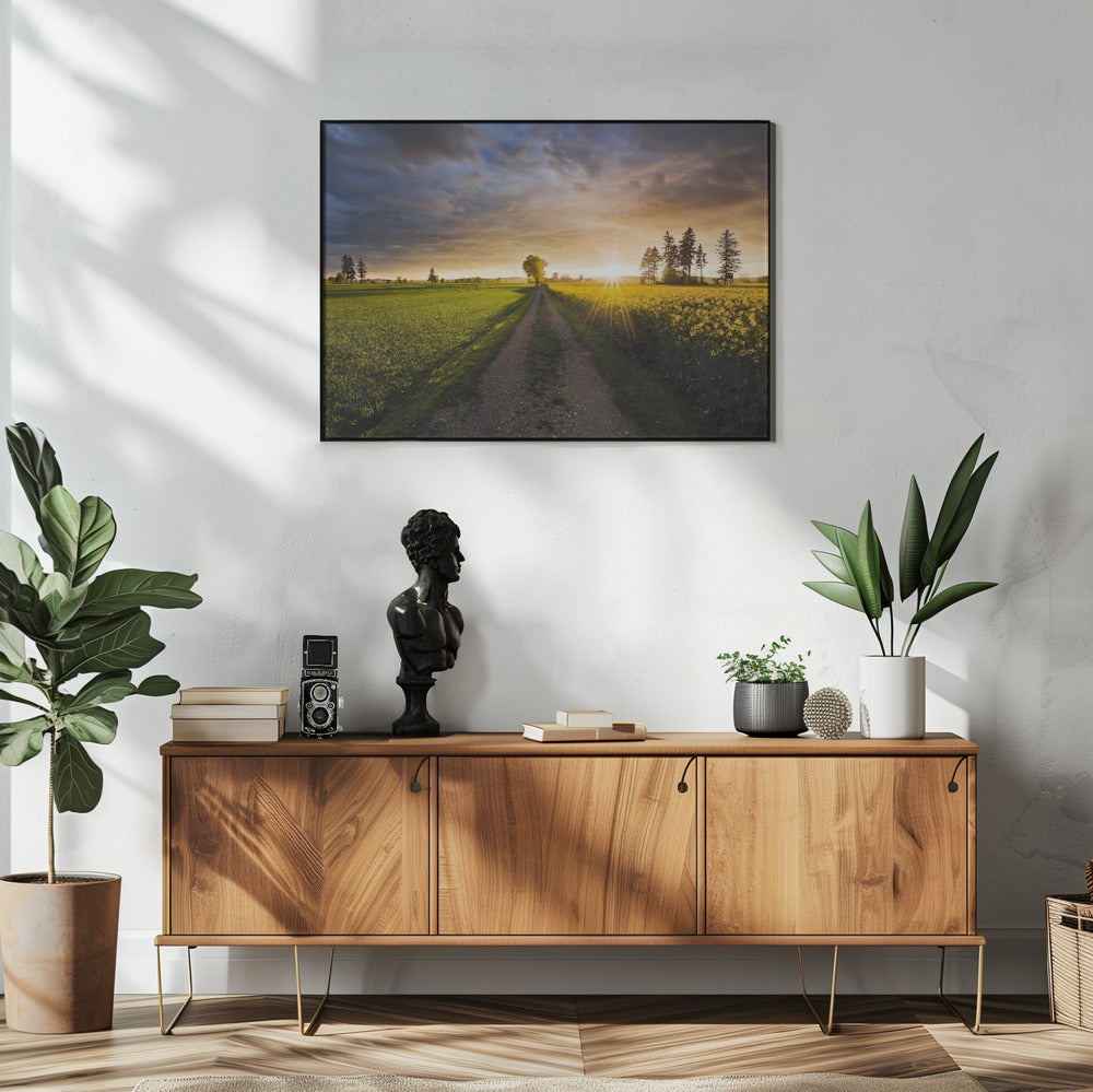 Sommerwiese | Poster