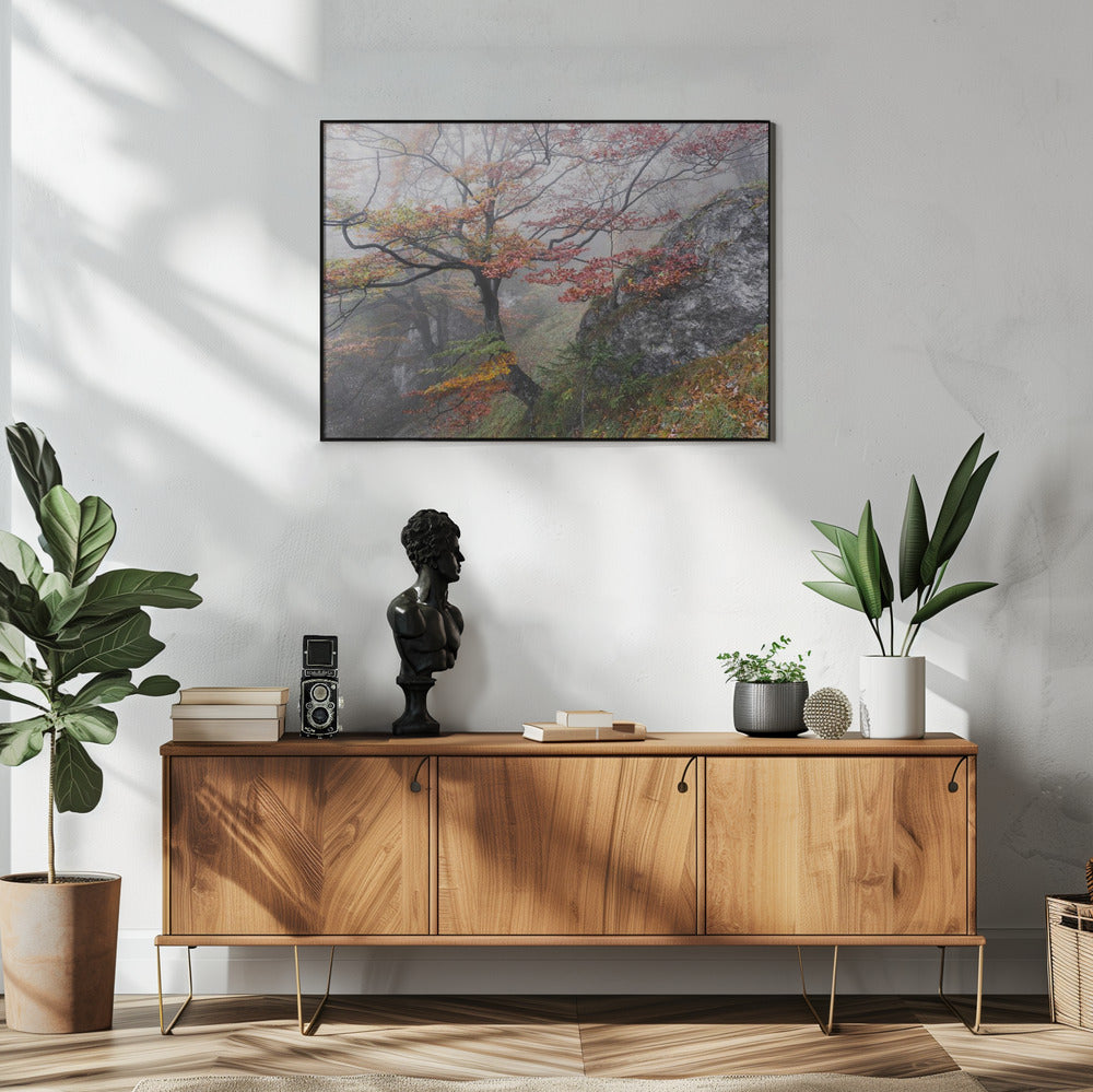 Foggy Woods | Poster
