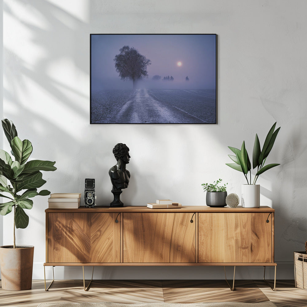 Moonlit Path | Poster