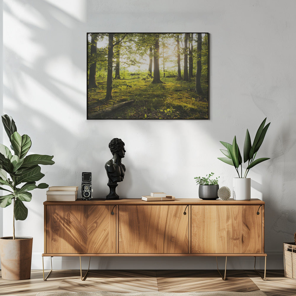 Summer in the Woods | Poster