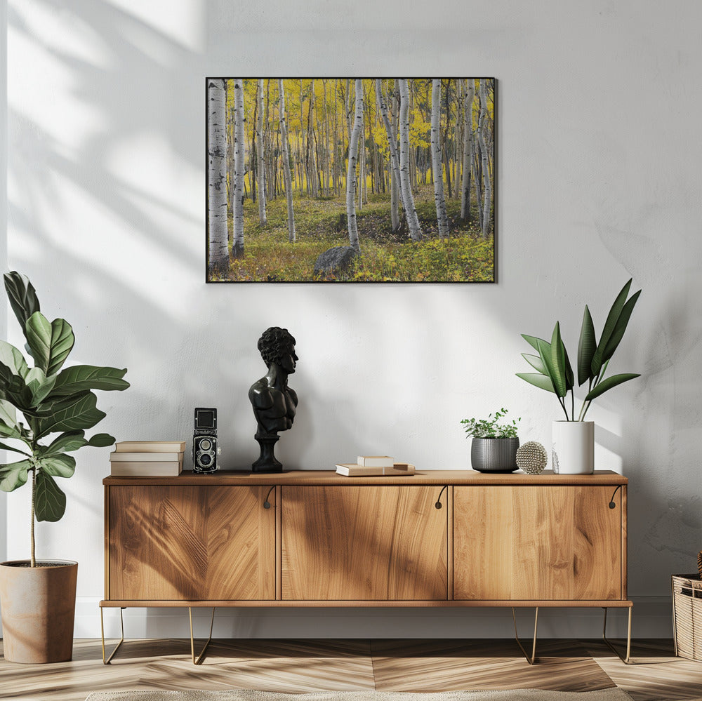 Herbstbirken | Poster