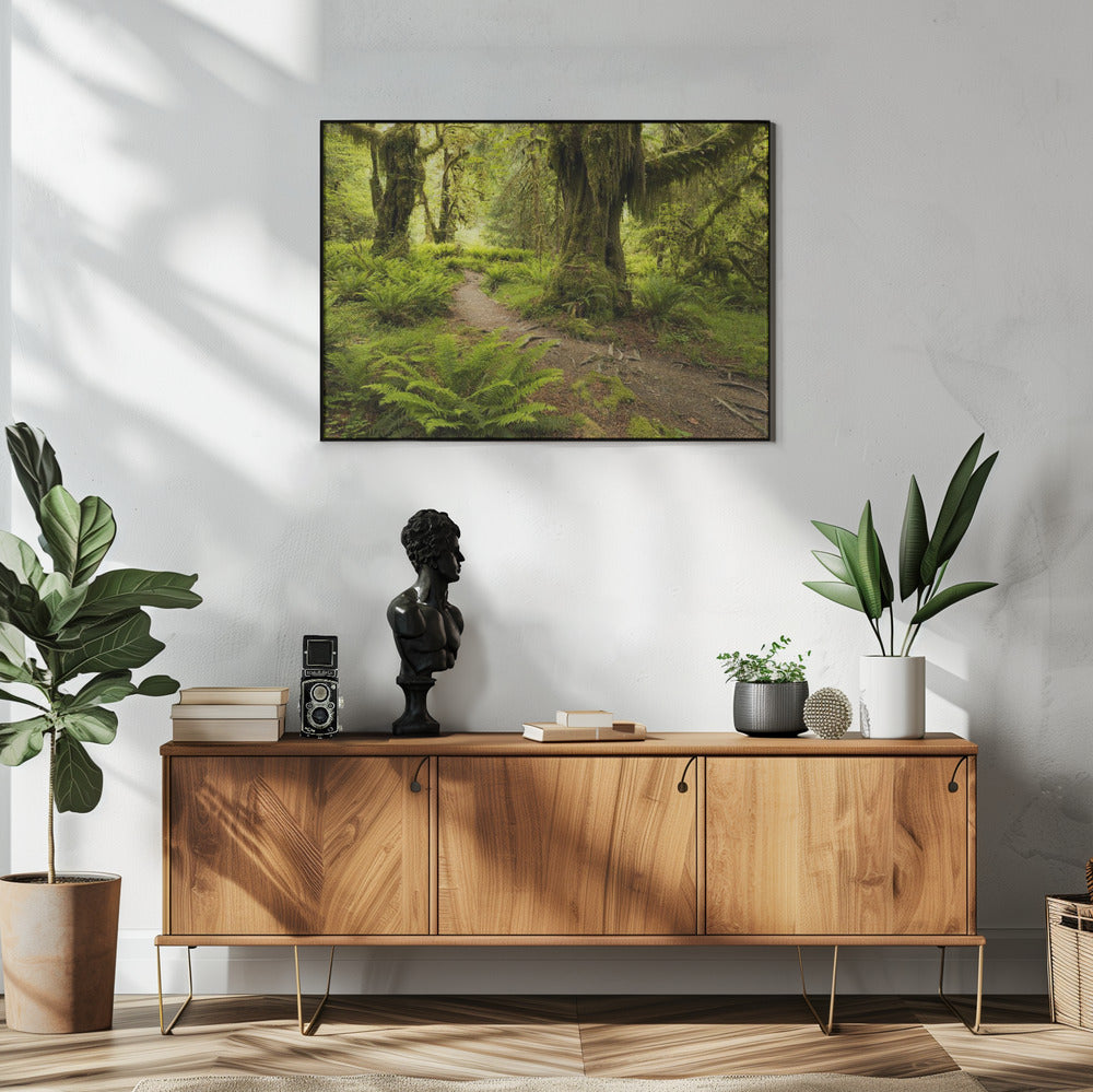 Hoh-Regenwald | Poster