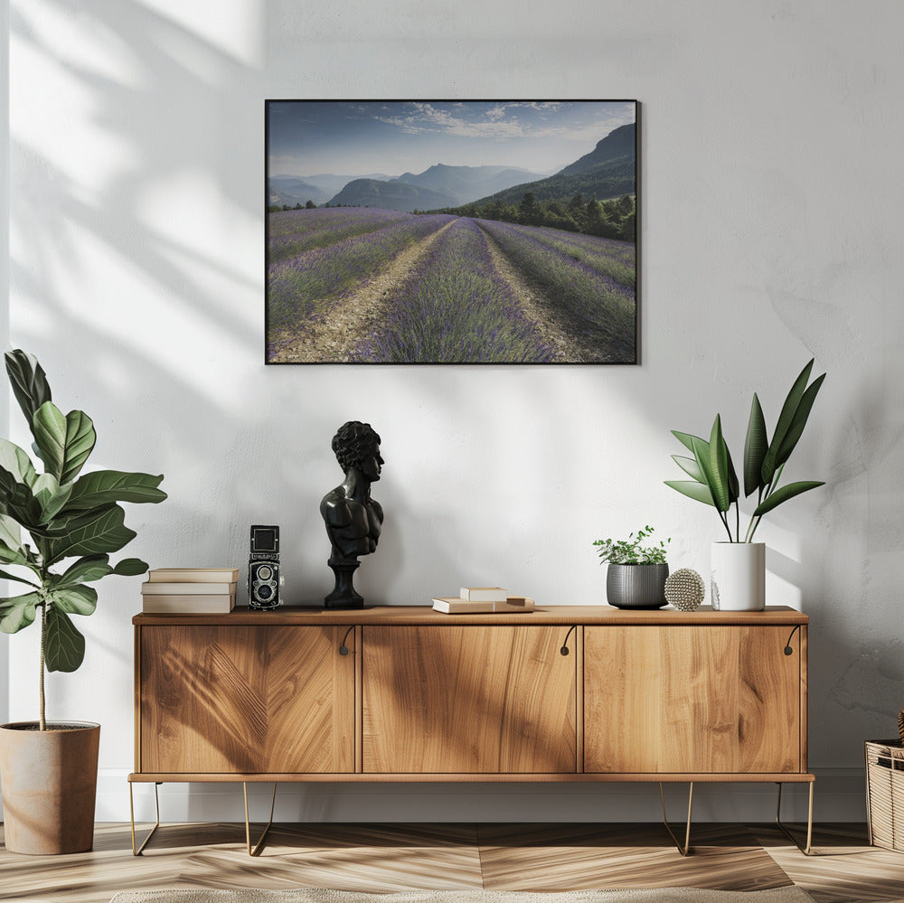 Lavendelhügel | Poster