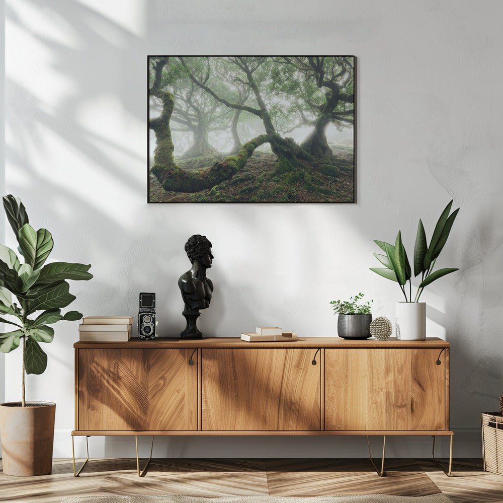 Mystischer Lorbeerwald | Poster