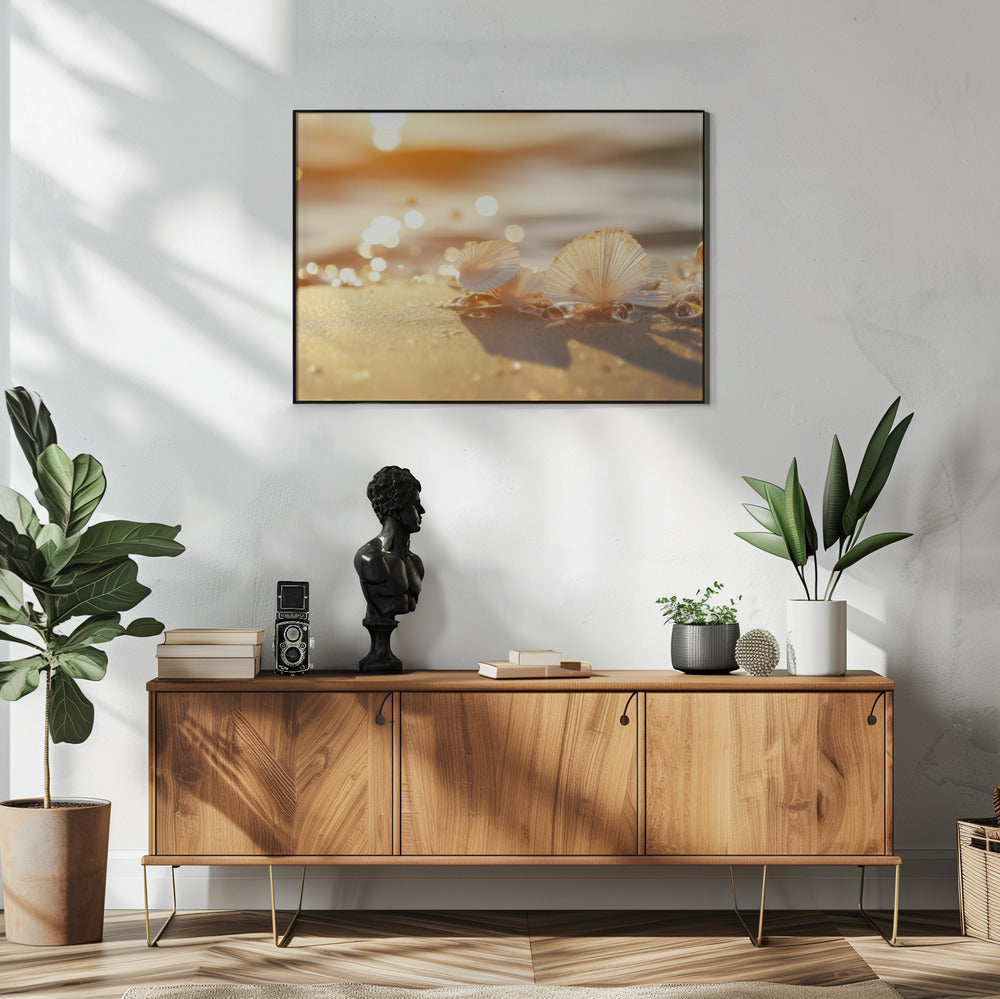 Sonnenbeschienene Muscheln | Poster