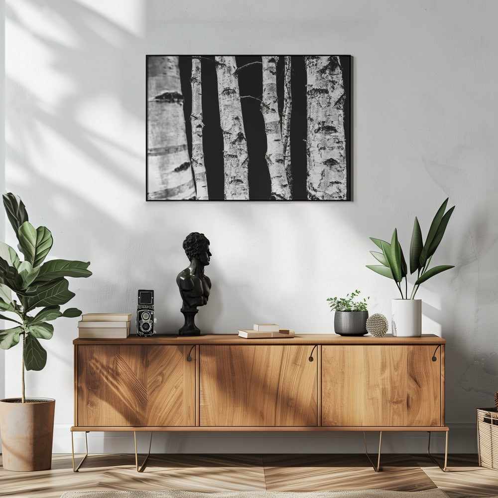 Birken | Poster